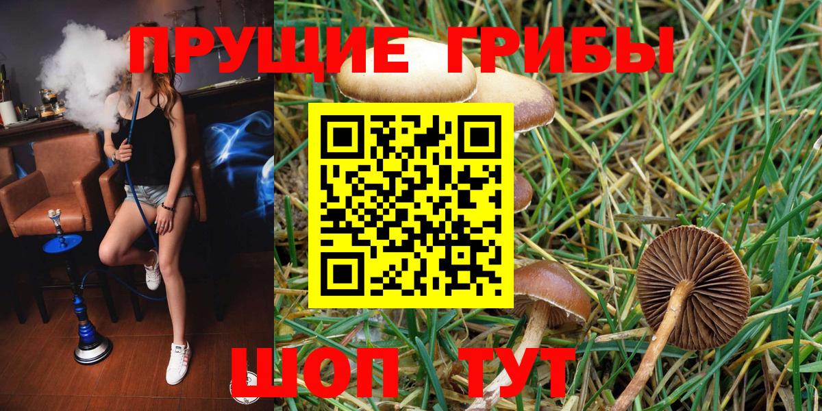 Псилоцибиновые грибы мухоморы  Псилоцибиновые грибы мицелий  Вход с VPN  Партизанск 